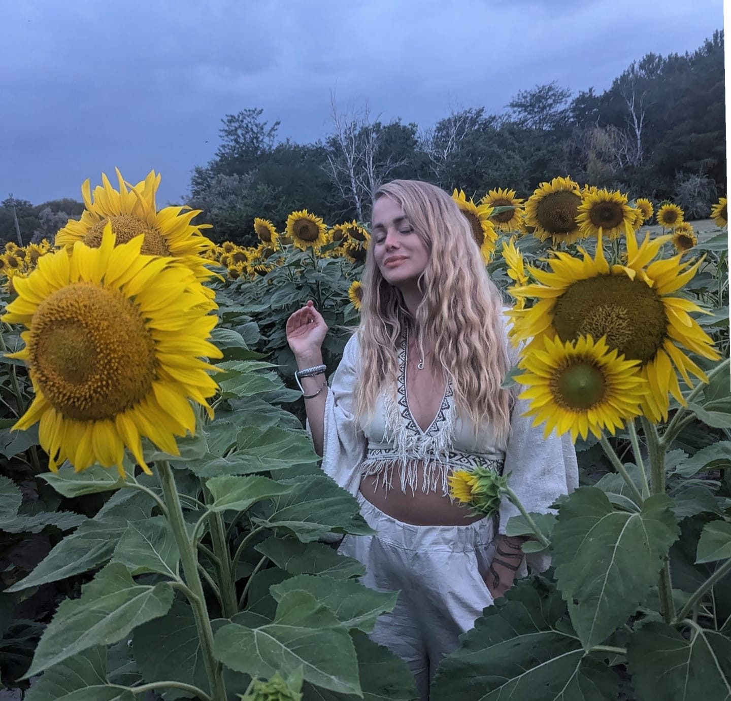 Maia in a sunflower field at dusk